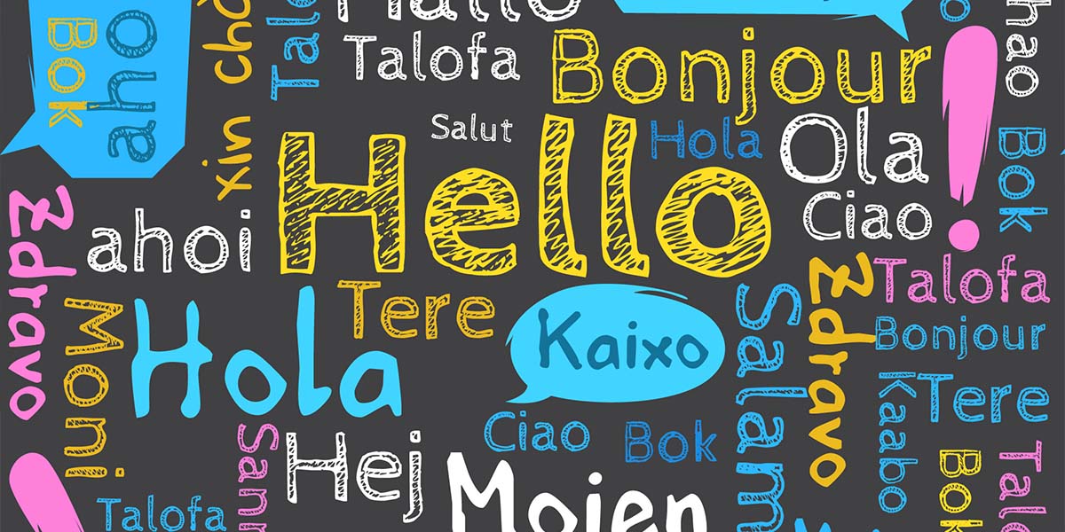 Additional Languages Add-on › Pacific Marketing Agency